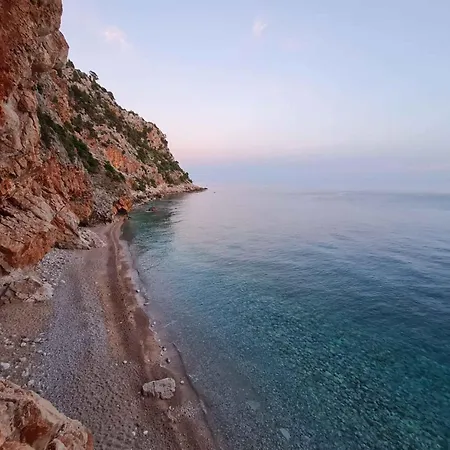In 43517 *
